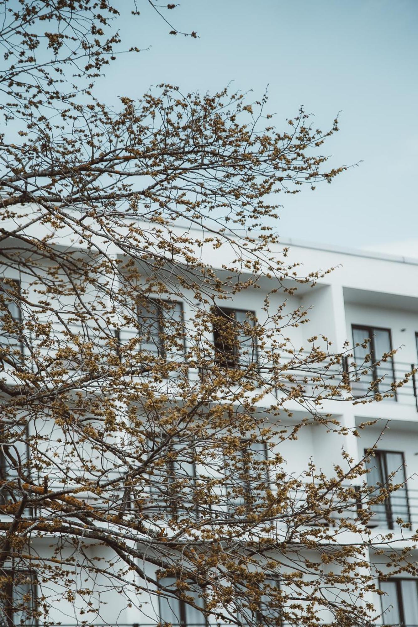 Oe Seaside Suites & Spa Kuressaare Luaran gambar